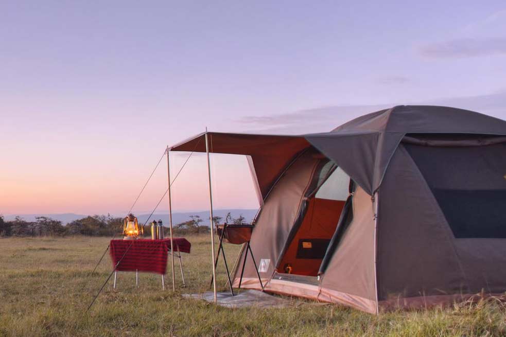 Serengeti Safari